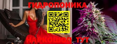 a pvp Гусев